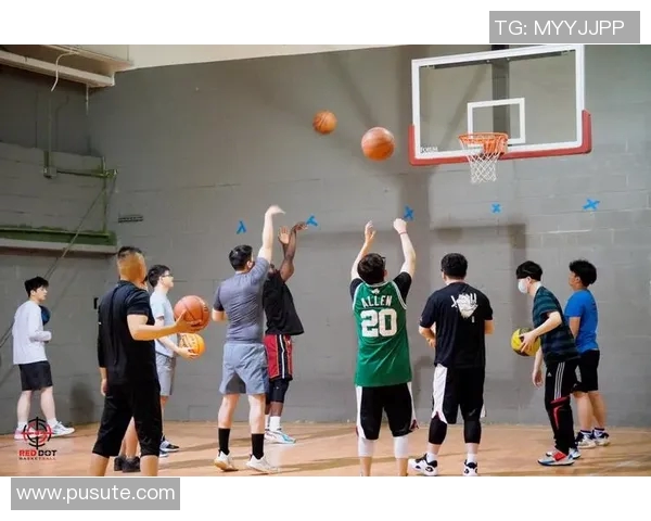 篮球明星杨聪的成长历程与辉煌成就全解析
